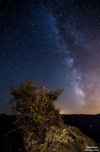 vía láctea veleta sierra nevada arbol estrellas tokina 11-16 para facebook