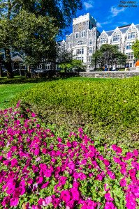 universidad de columbia nueva york tokina para facebook