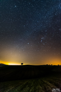 arbol nocturna estrellas quedadas nikon d750 samyang 14 enfoqeu y foto para facebook