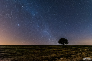 arbol vía láctea nikon d750 enfoque y foto para facebook