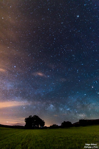 arbol vía lactea la venta nocturna enfoque y foto para facebook