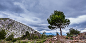 alfacar prueba tamron 15 nubes-3