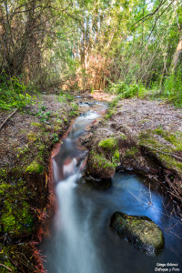 efecto seda pinos genil tamron 15-30 sin filtros