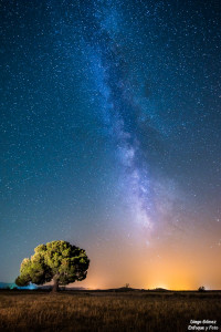 arbol solitario vía láctea larga exposición enfoque y foto para facebook