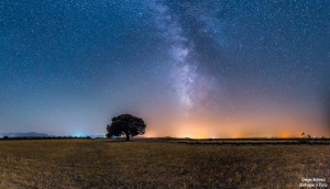 panorámica vía lactea arbol gorafe enfoque y foto para facebook