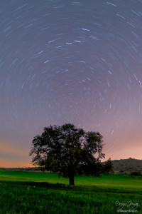 exposición cuando cae la noche comienza la magia 2